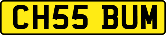 CH55BUM