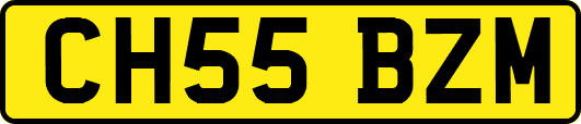 CH55BZM