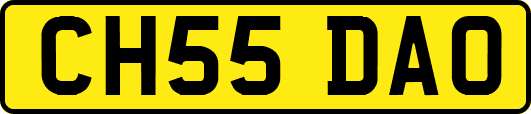 CH55DAO