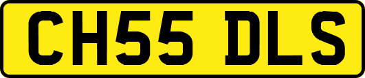 CH55DLS