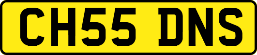 CH55DNS