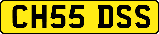 CH55DSS