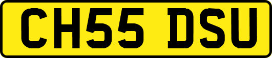 CH55DSU