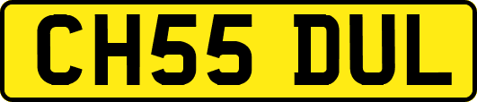 CH55DUL