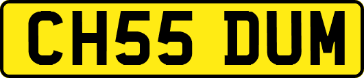 CH55DUM