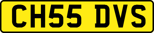 CH55DVS