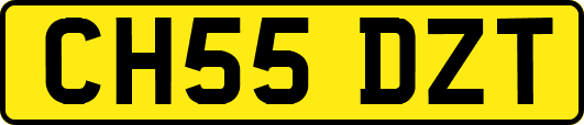CH55DZT