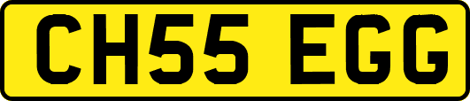 CH55EGG