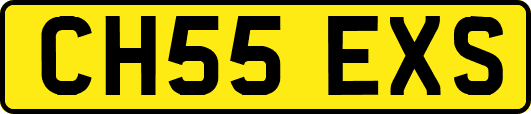 CH55EXS