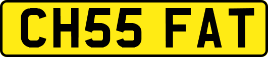 CH55FAT