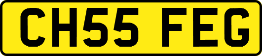 CH55FEG