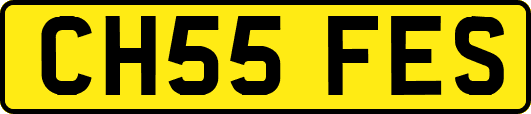 CH55FES