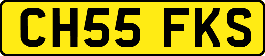 CH55FKS