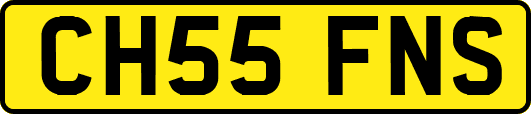CH55FNS