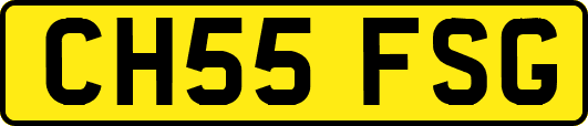 CH55FSG