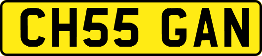 CH55GAN