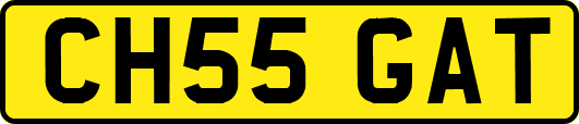 CH55GAT