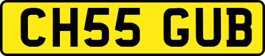 CH55GUB