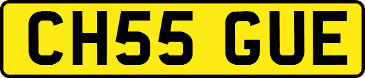 CH55GUE