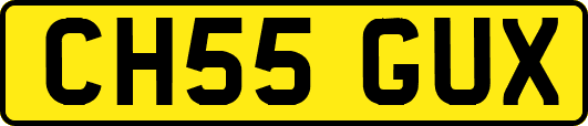 CH55GUX