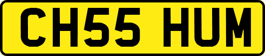 CH55HUM