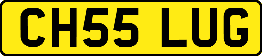 CH55LUG