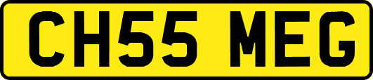 CH55MEG
