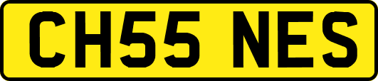 CH55NES