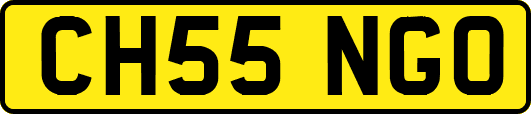 CH55NGO