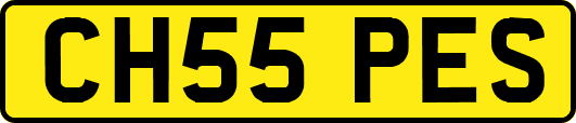 CH55PES