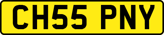 CH55PNY