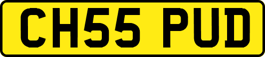 CH55PUD