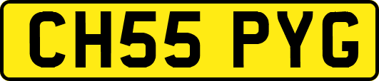 CH55PYG