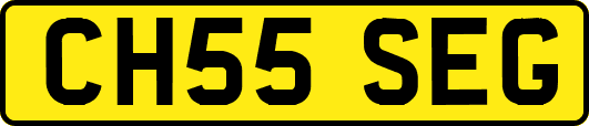 CH55SEG