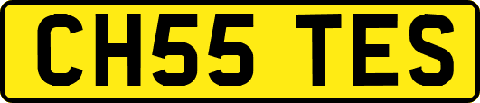CH55TES