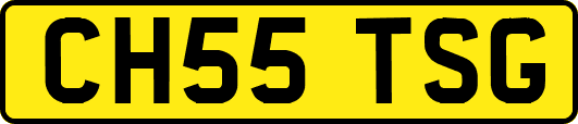CH55TSG