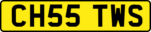 CH55TWS