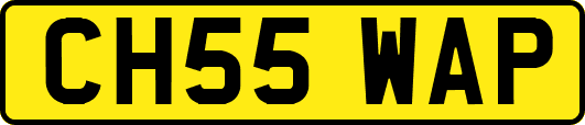 CH55WAP