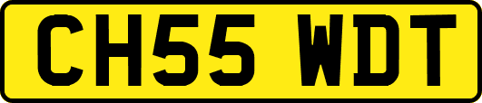 CH55WDT