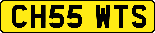 CH55WTS