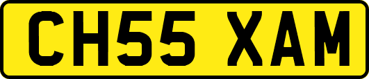 CH55XAM