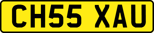 CH55XAU