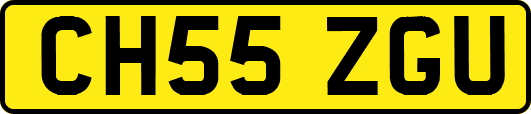 CH55ZGU