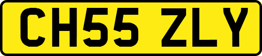 CH55ZLY