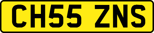CH55ZNS