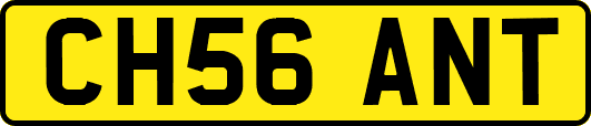 CH56ANT