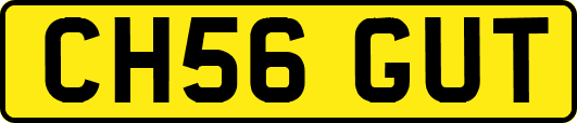 CH56GUT