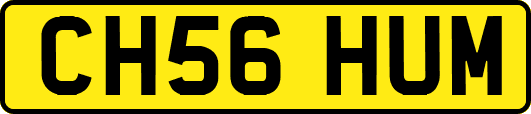 CH56HUM