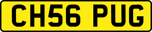 CH56PUG
