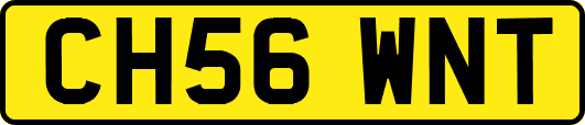 CH56WNT